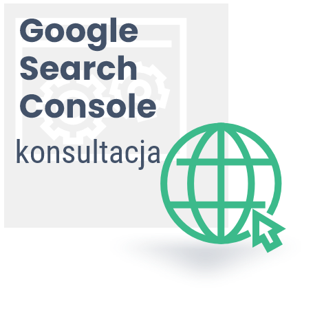 Targos - Google Search Console konsultacja
